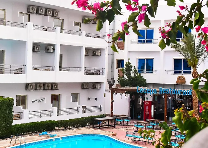Cecelia - Modern Seaview - For Families And Couples Apartmanhotel Gurdaka